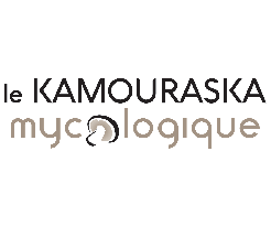 Kamouraska mycologie
