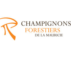 Champignons-forestiers-de-la-Mauricie2